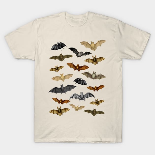 Vintage Dark Academia Bat Illustrations - Halloween Costume T-Shirt by PUFFYP